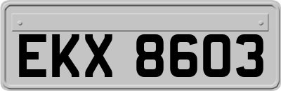 EKX8603