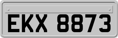 EKX8873