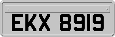 EKX8919