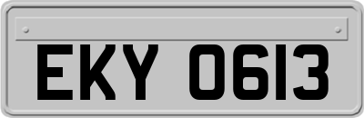 EKY0613