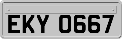 EKY0667