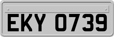 EKY0739
