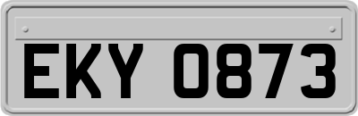 EKY0873
