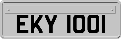 EKY1001