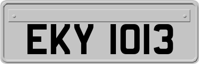 EKY1013