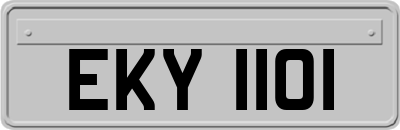 EKY1101