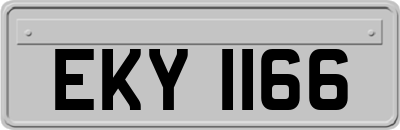 EKY1166