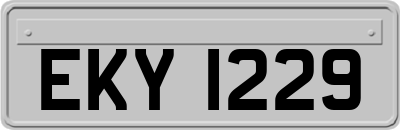 EKY1229