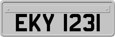 EKY1231