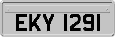 EKY1291