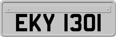 EKY1301