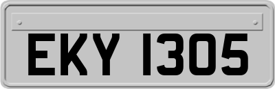 EKY1305