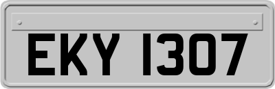 EKY1307