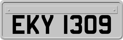 EKY1309