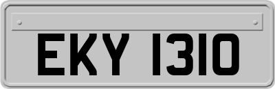 EKY1310
