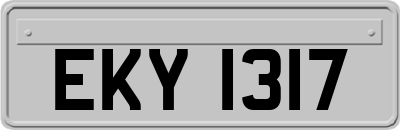 EKY1317