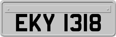 EKY1318
