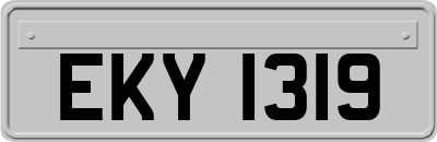 EKY1319