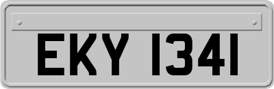 EKY1341
