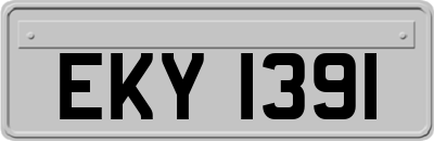 EKY1391