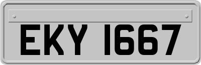 EKY1667