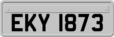 EKY1873
