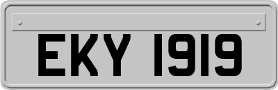 EKY1919