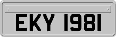 EKY1981