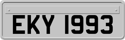 EKY1993