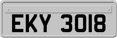 EKY3018