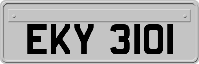 EKY3101