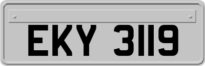 EKY3119