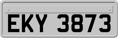 EKY3873