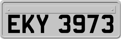 EKY3973