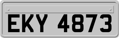 EKY4873