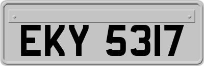 EKY5317