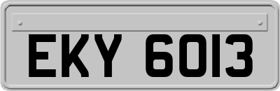 EKY6013