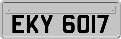 EKY6017