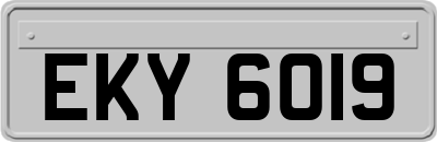 EKY6019