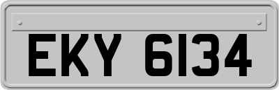 EKY6134