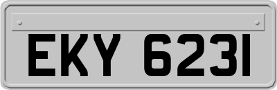 EKY6231