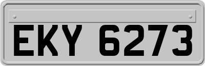 EKY6273