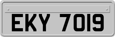EKY7019