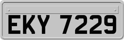 EKY7229