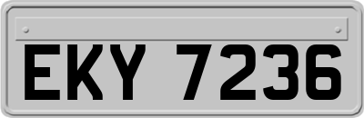 EKY7236