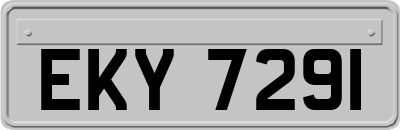 EKY7291