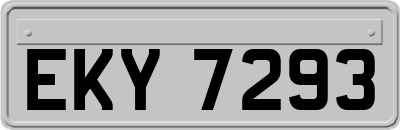 EKY7293