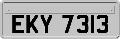 EKY7313