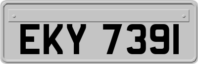 EKY7391