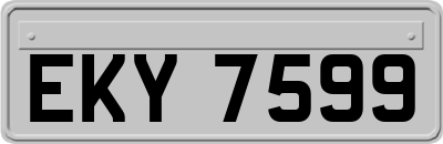 EKY7599